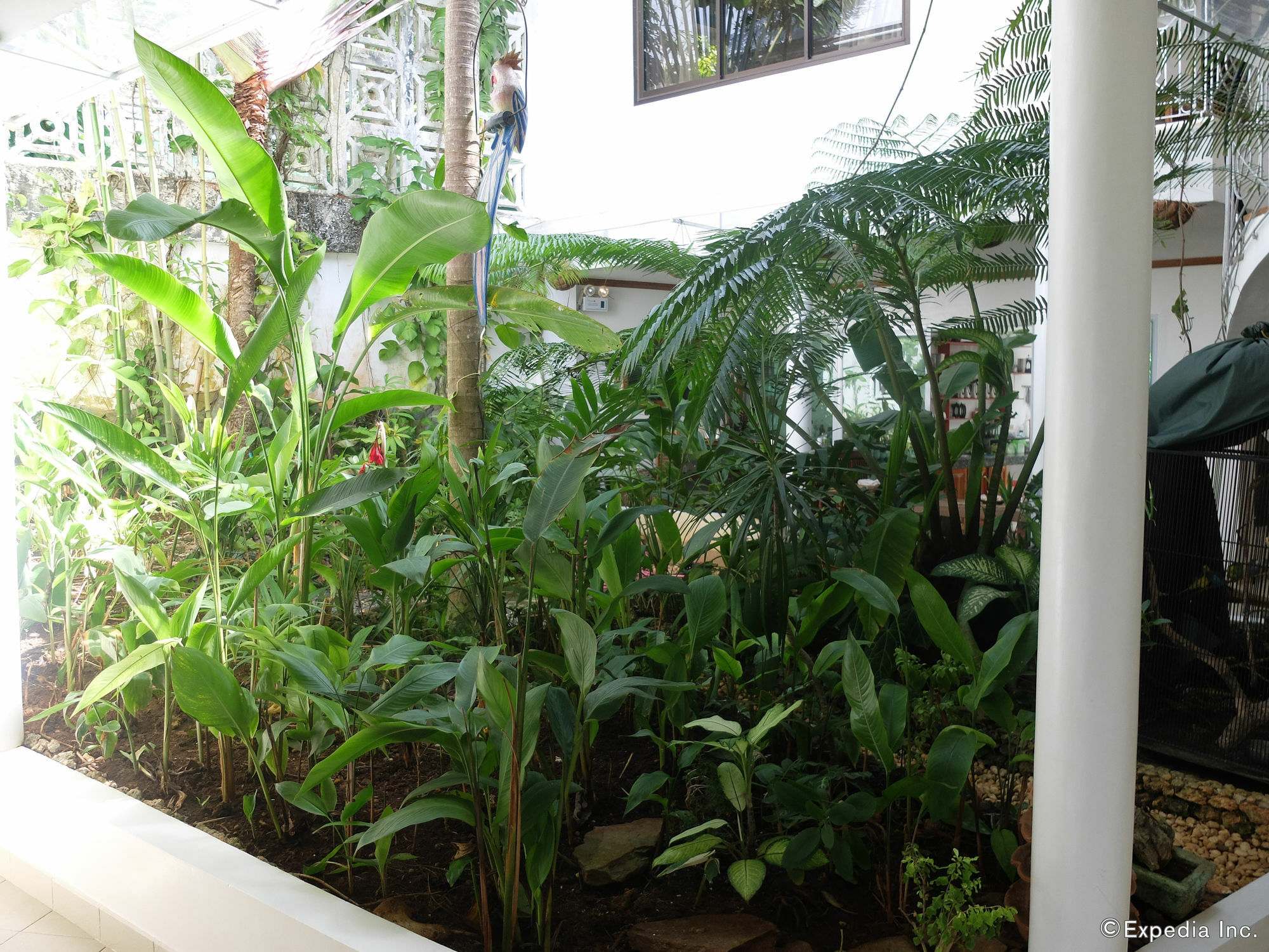 Argonauta Apartment Suites Yapak 外观 照片